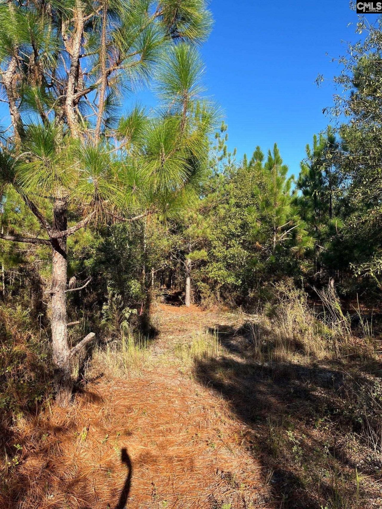 Ppf 18 Payne Pond Road  Photo 14