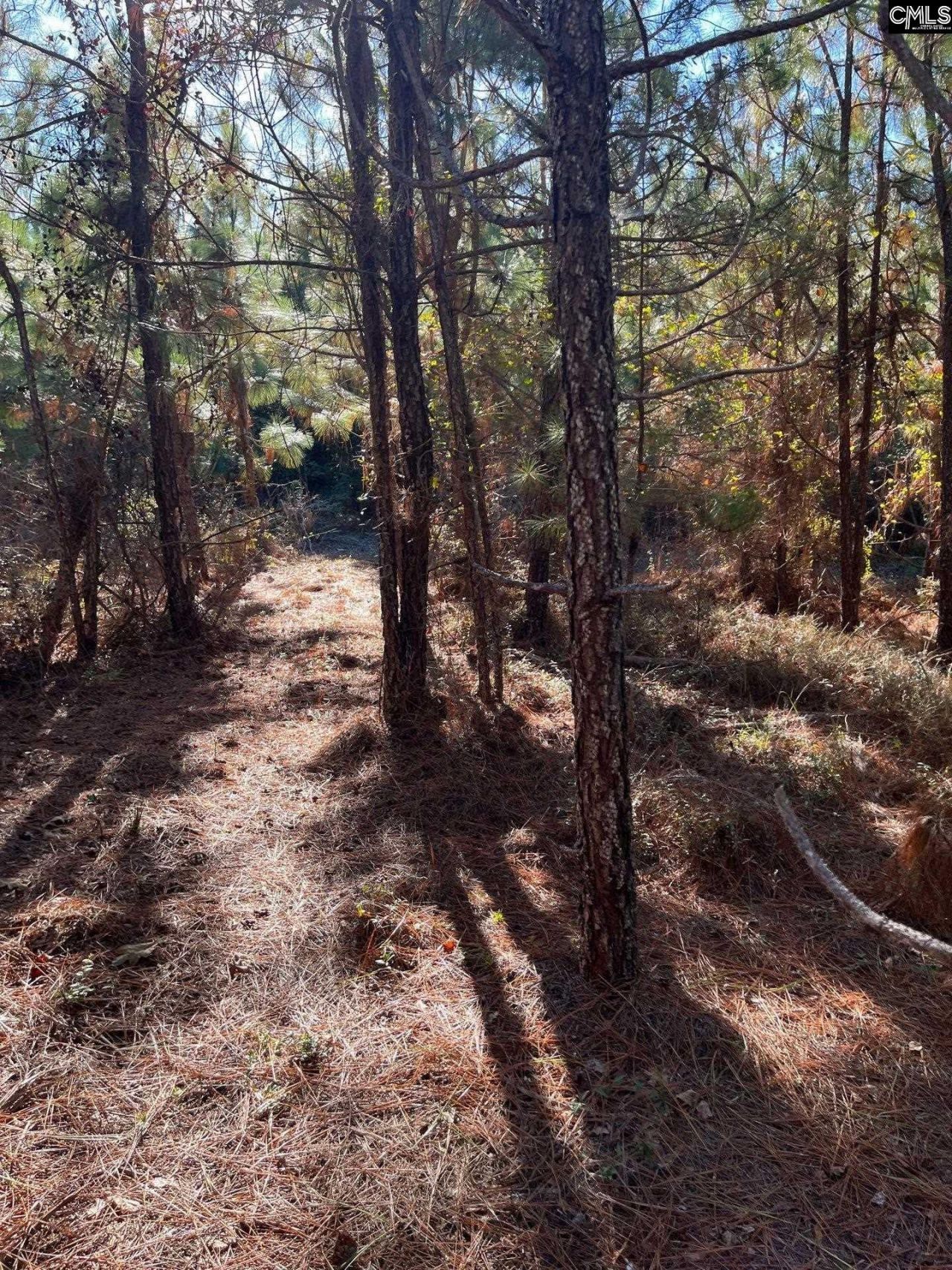 Ppf 18 Payne Pond Road Photo 15