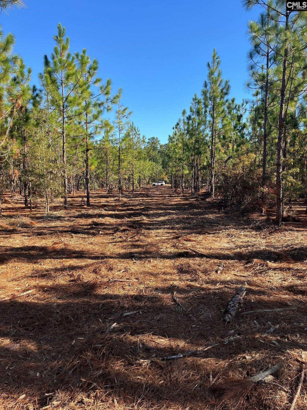 Ppf 18 Payne Pond Road  Photo 17