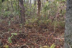 Ppf 18 Payne Pond Road  photo 4