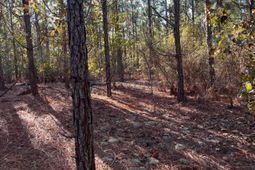 Ppf 18 Payne Pond Road  photo 4