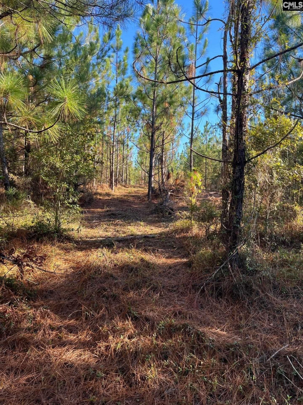 Ppf 18 Payne Pond Road  Photo 5