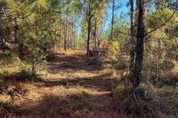 Ppf 18 Payne Pond Road  photo 4