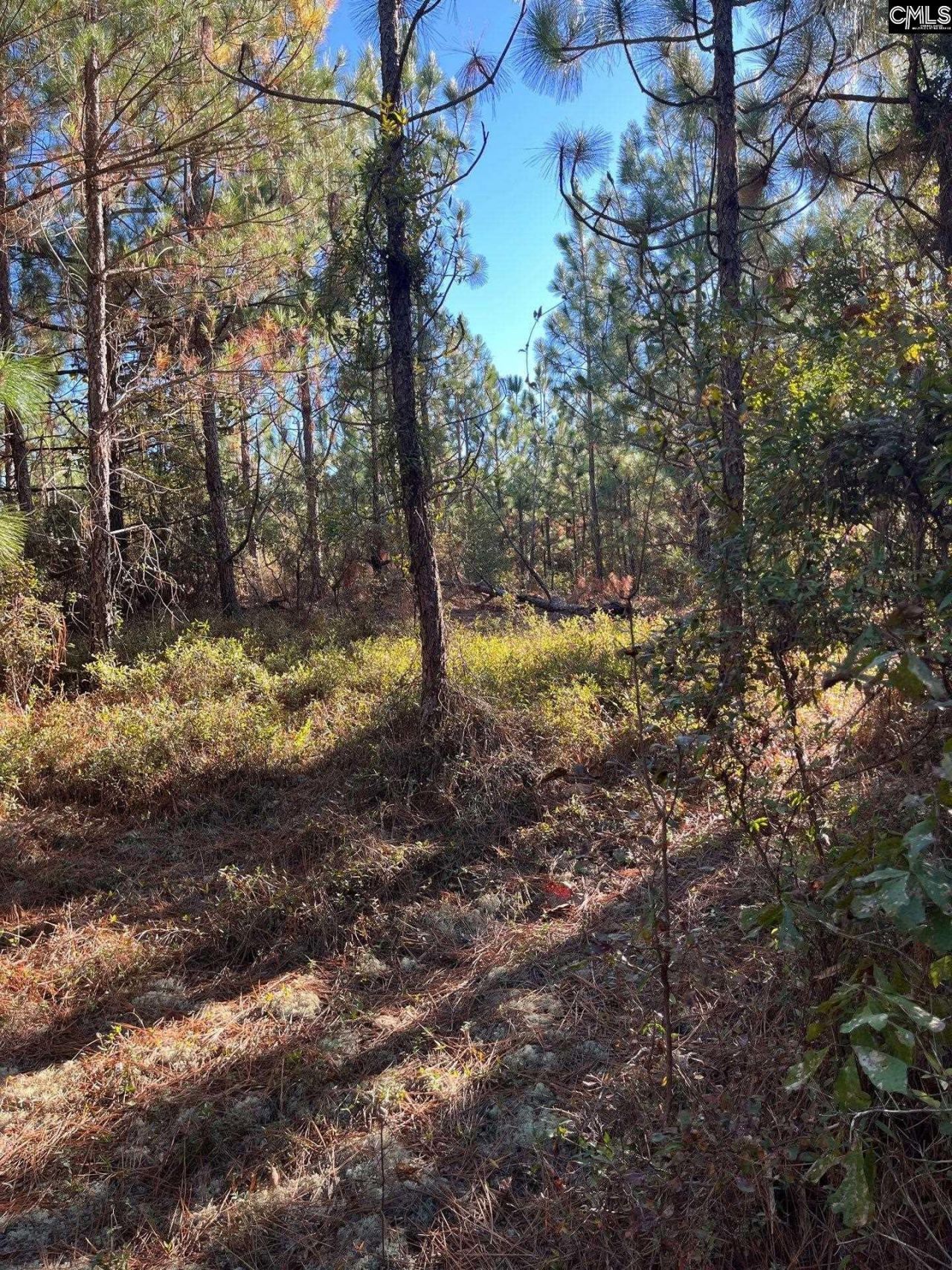 Ppf 18 Payne Pond Road  Photo 6