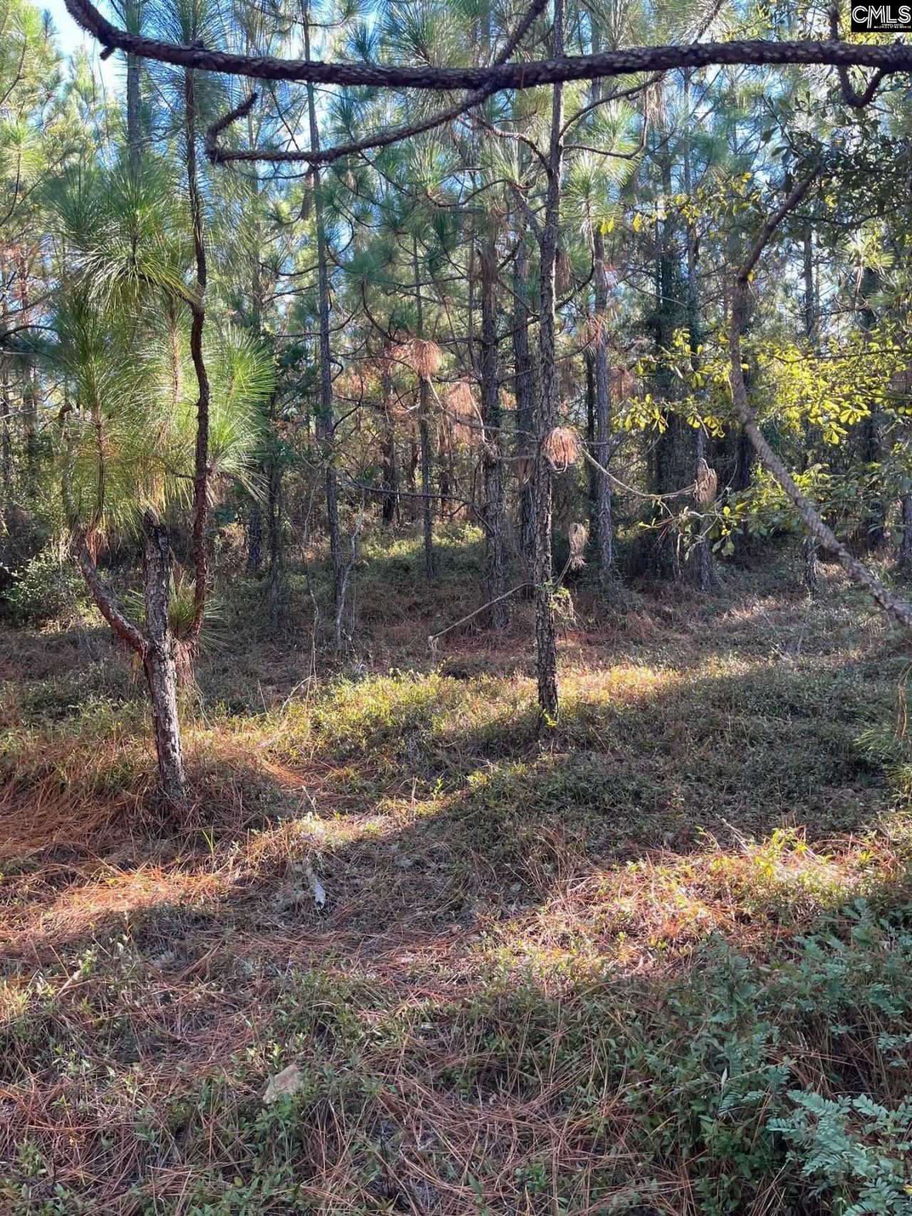 Ppf 18 Payne Pond Road Photo 7