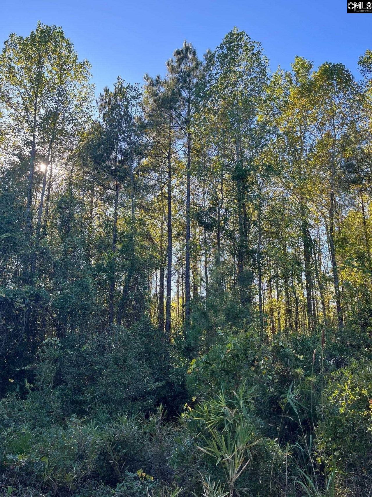Ppf 18 Payne Pond Road Photo 8