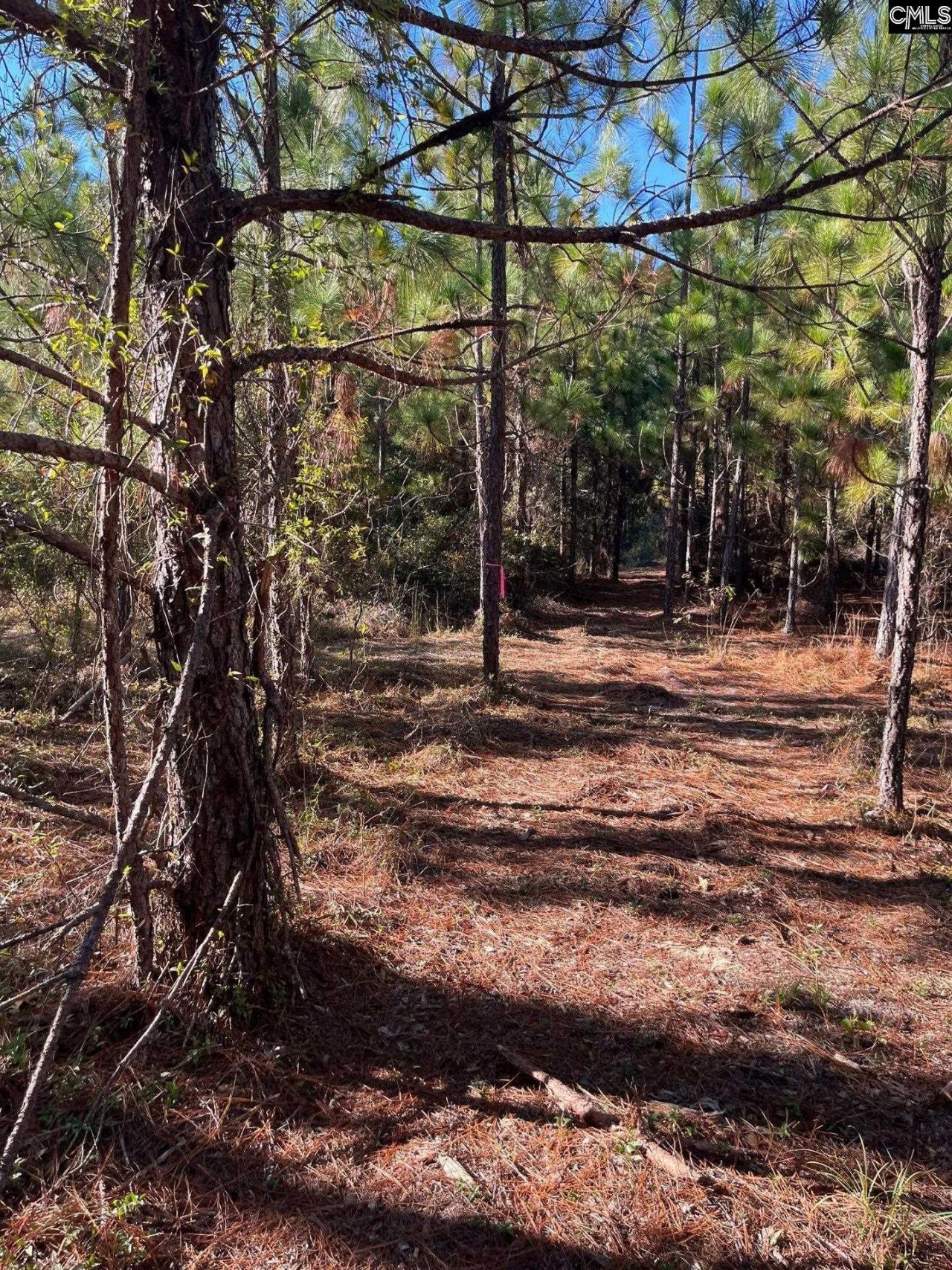 Ppf 18 Payne Pond Road  Photo 9