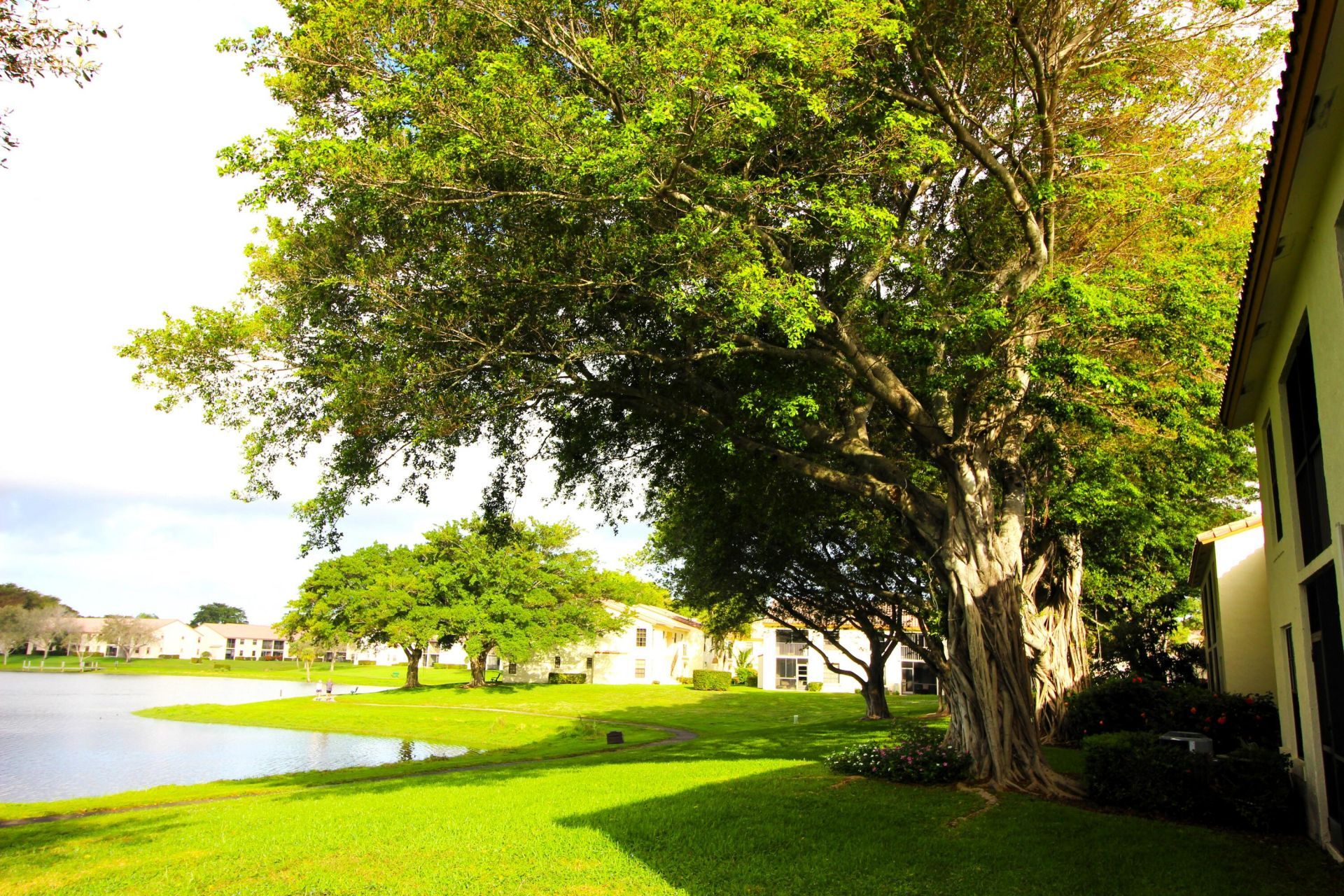 2900 Olivewood Terrace, Unit 206, Boca Raton, FL 33431 Photo