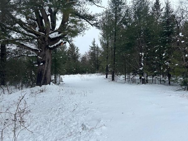 606 E BROOK STREET, Suring, WI 54174