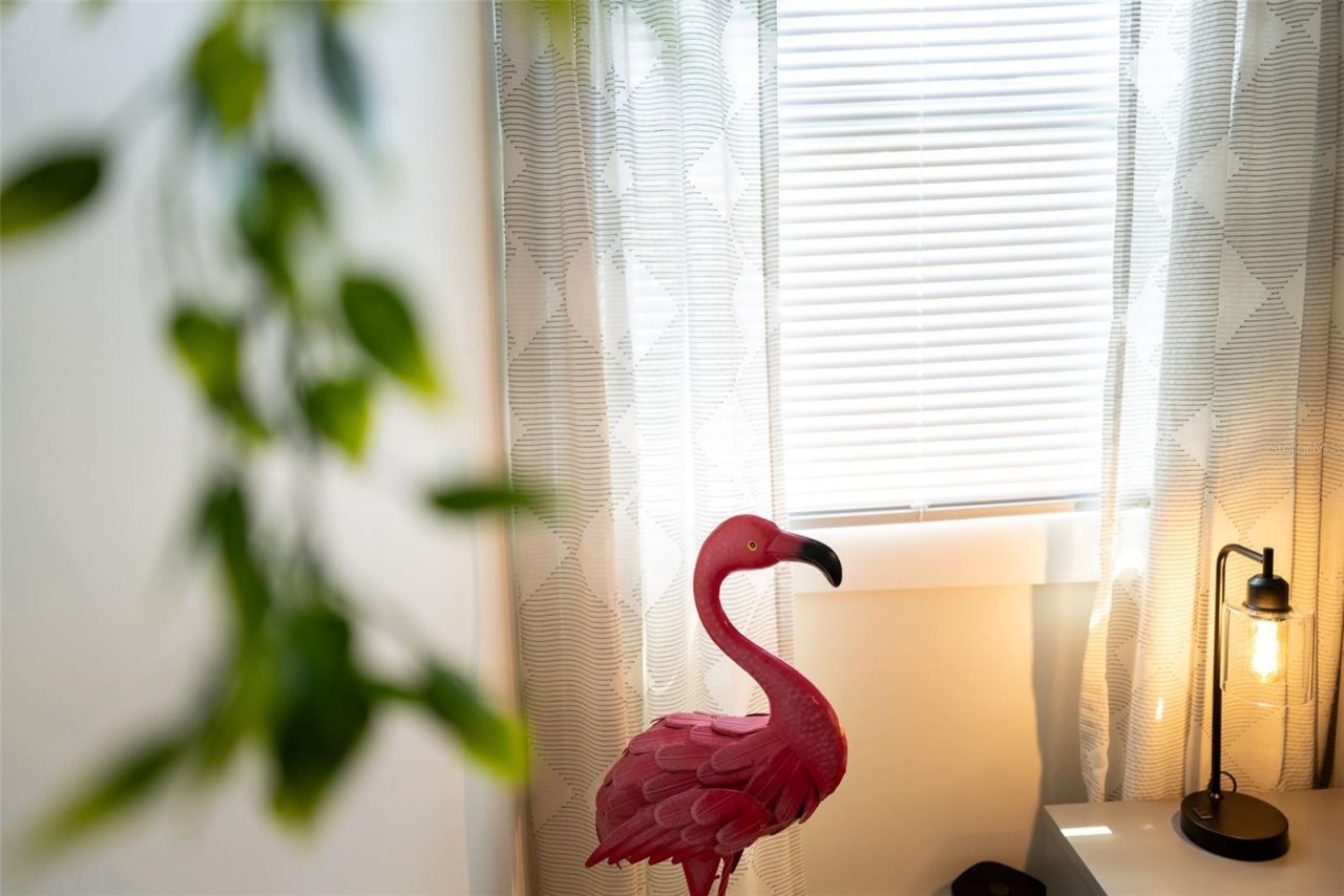 127 17th Avenue S, Saint Petersburg, FL 33701 Photo