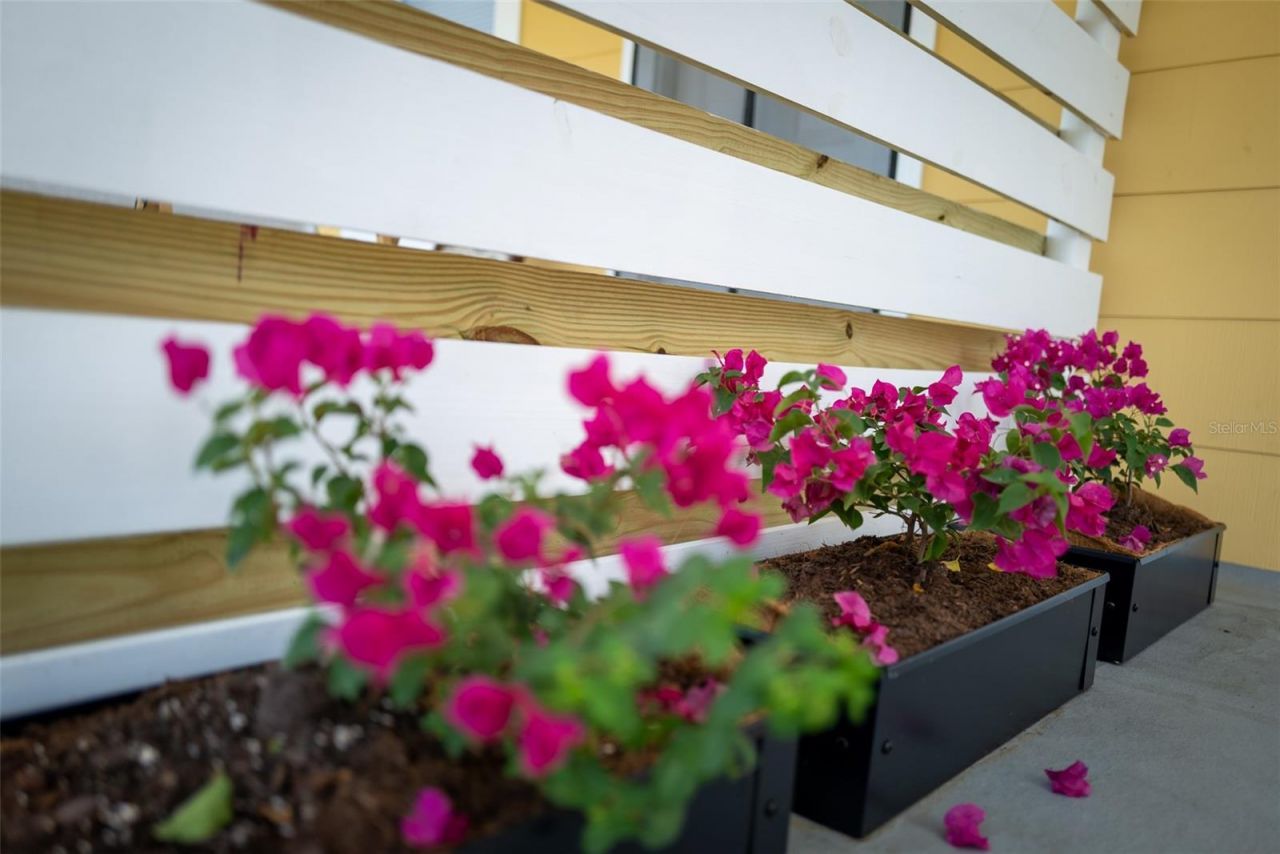 127 17th Avenue S, Saint Petersburg, FL 33701 Photo