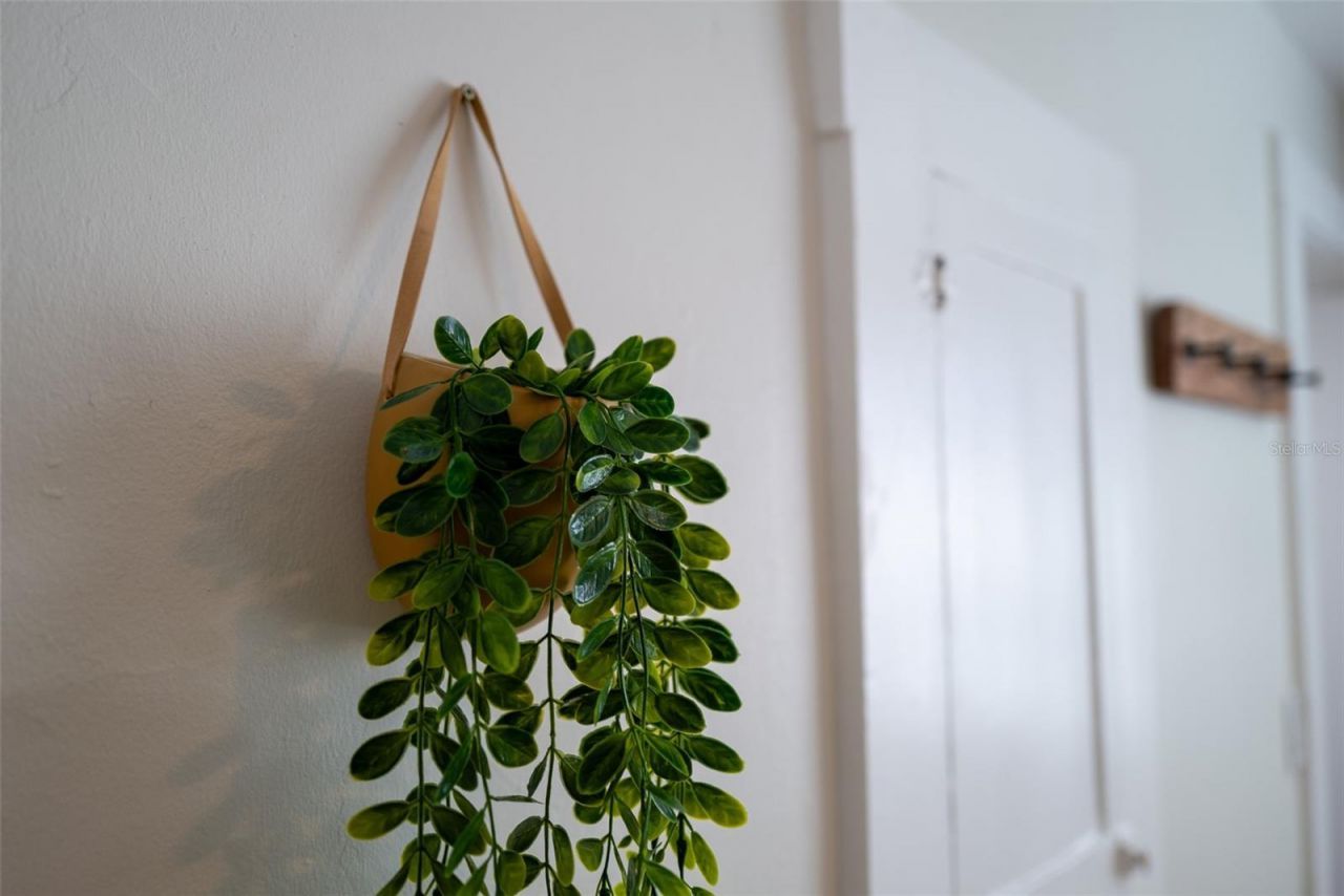 127 17th Avenue S, Saint Petersburg, FL 33701 Photo