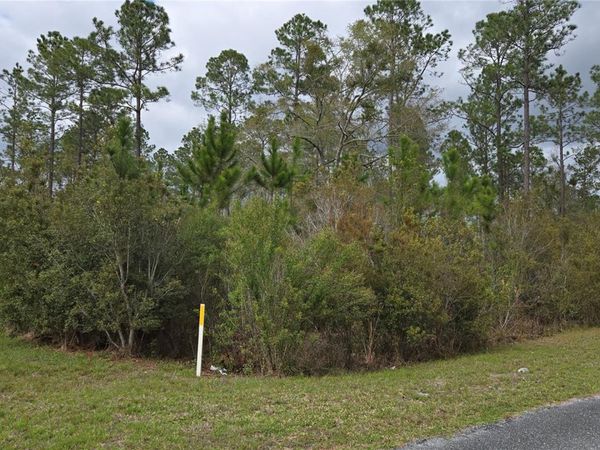 Lot 9 NW NATALIE WAY , LAKE CITY, FL 32055