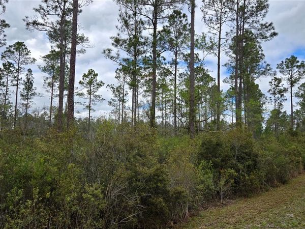 Lot 10 NW NATALIE WAY , LAKE CITY, FL 32055