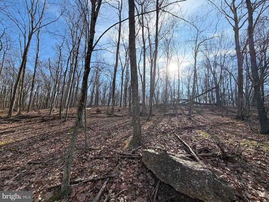 329 Whiteface Circle , Zion Grove, PA 17985 Main Photo