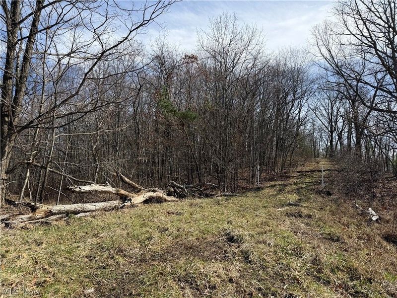 31100 Moravian Trail, Tippecanoe, OH 44699 Photo 1