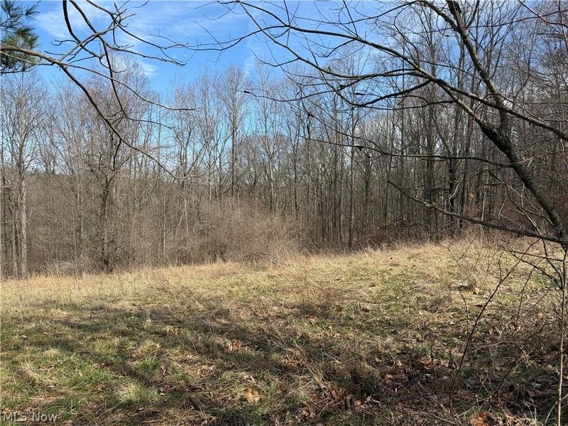 31100 Moravian Trail, Tippecanoe, OH 44699 Photo 10