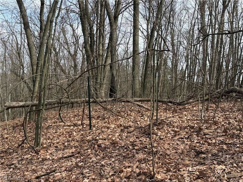 31100 Moravian Trail, Tippecanoe, OH 44699 Photo 12