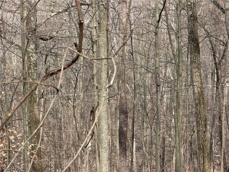 31100 Moravian Trail, Tippecanoe, OH 44699 Photo 13