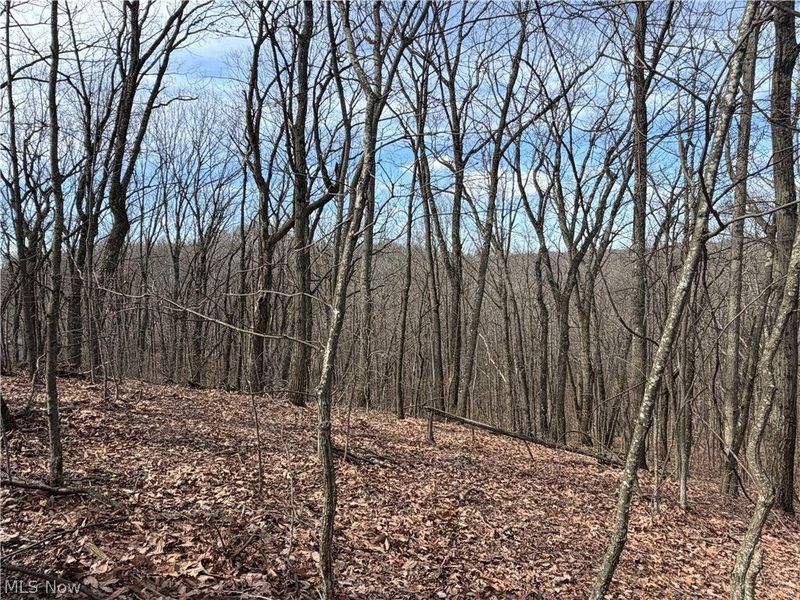 31100 Moravian Trail, Tippecanoe, OH 44699 Photo 15