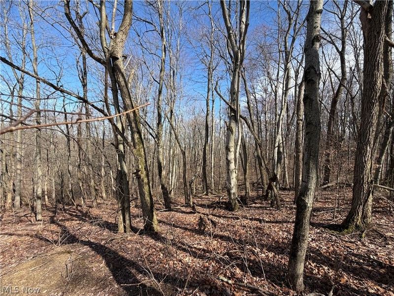 31100 Moravian Trail, Tippecanoe, OH 44699 Photo 2