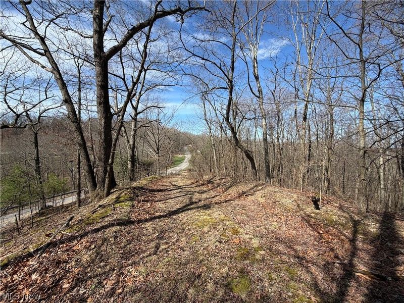 31100 Moravian Trail, Tippecanoe, OH 44699 Photo 3