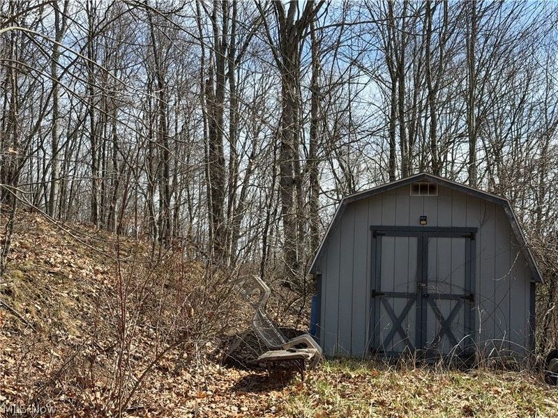 31100 Moravian Trail, Tippecanoe, OH 44699 Photo 6