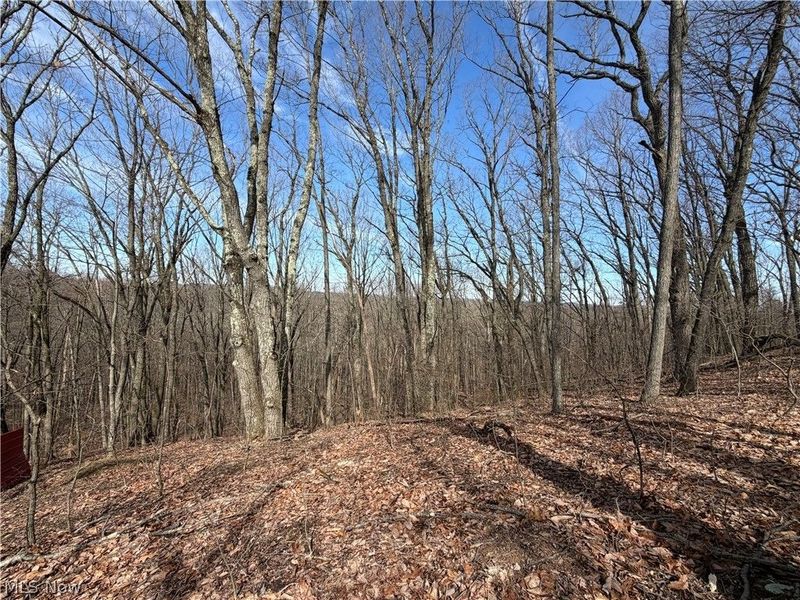 31100 Moravian Trail, Tippecanoe, OH 44699 Photo 7