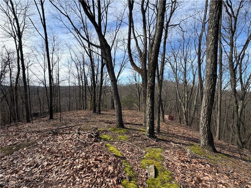 31100 Moravian Trail, Tippecanoe, OH 44699 Photo 9