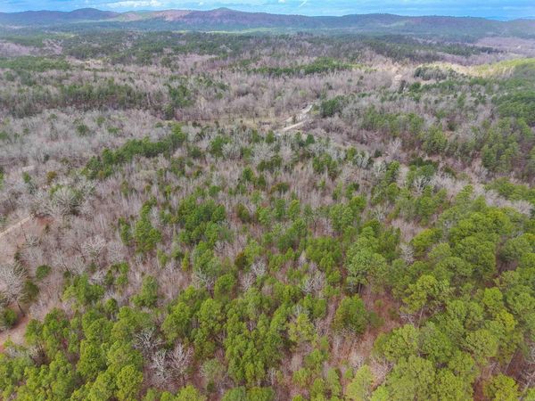 TBD Gaston Road, Mount Ida, AR 71957