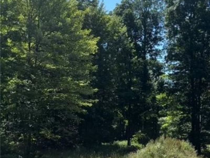 14065 Kimpton Trail, Hiram, OH 44234 Photo 4