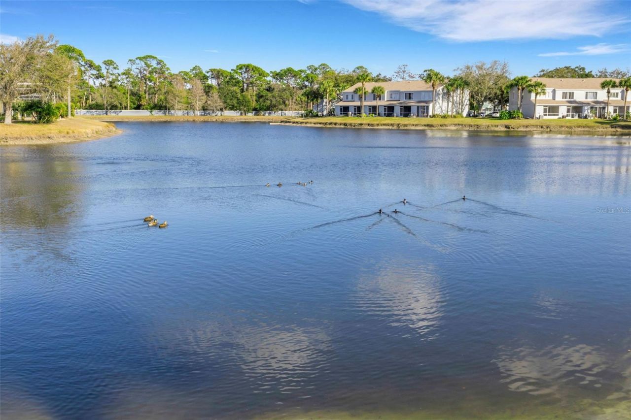 5019 Misty Canal Place, Bradenton, FL 34203 Photo