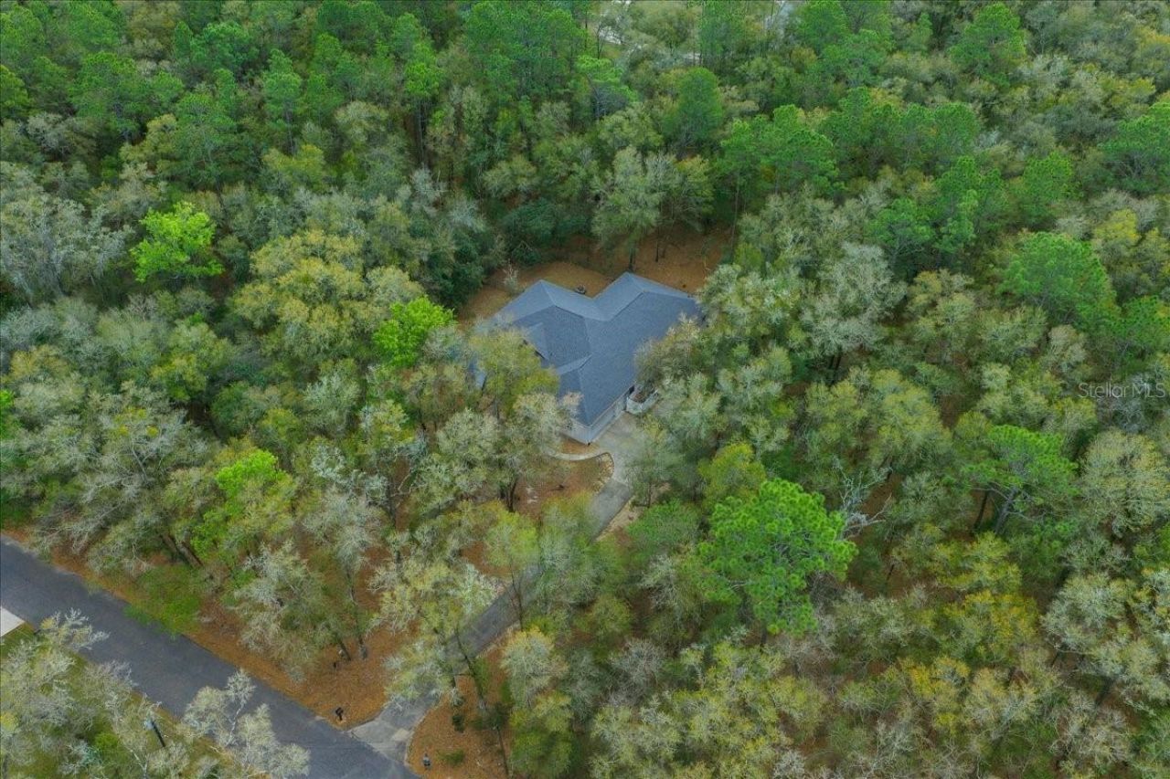 7550 SW 185th Circle, Dunnellon, FL 34432 Photo