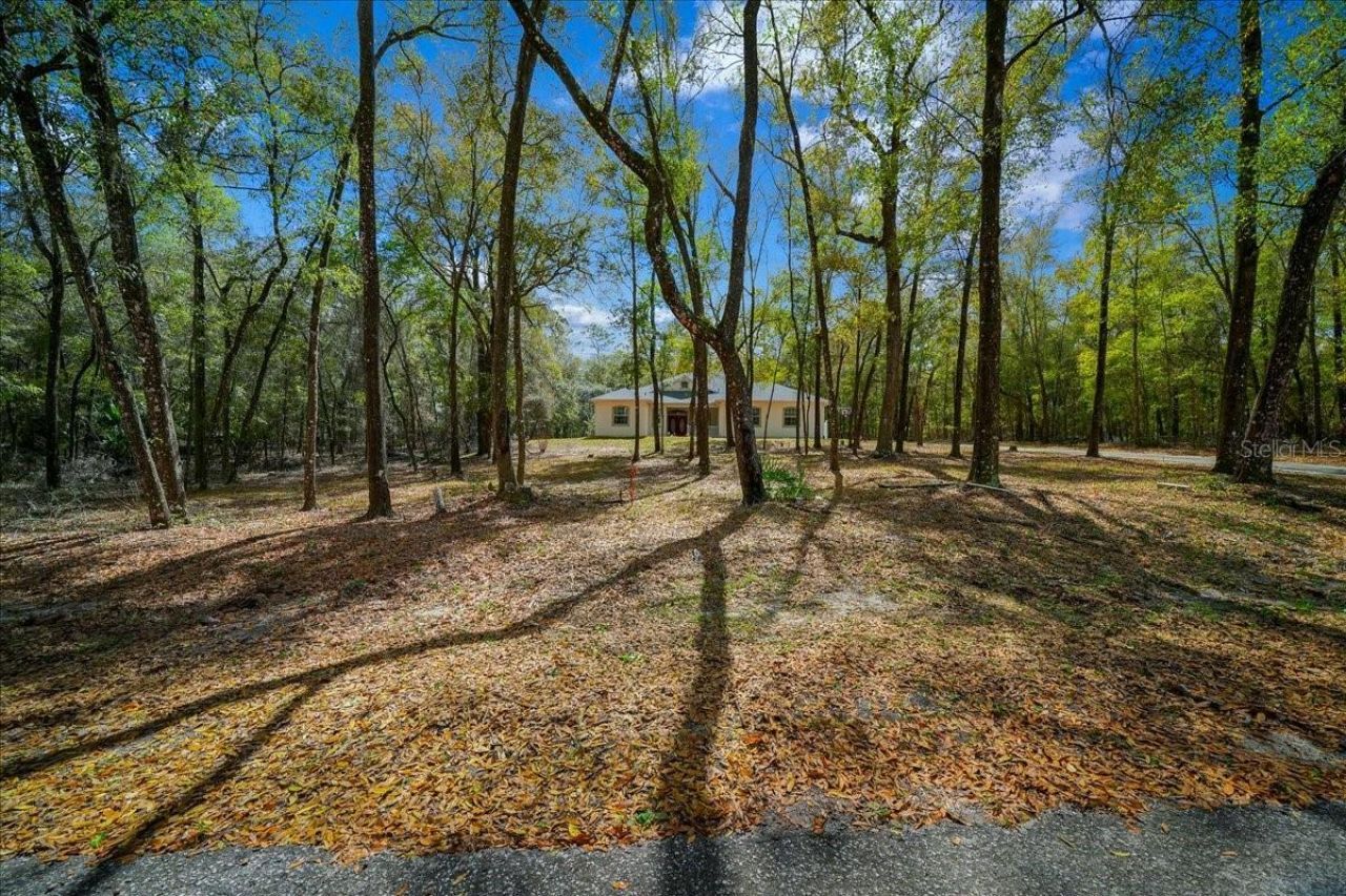 7550 SW 185th Circle, Dunnellon, FL 34432 Photo