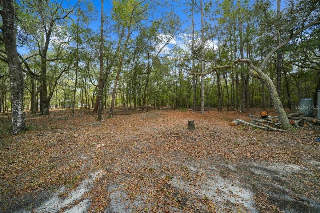 7550 SW 185th Circle, Dunnellon, FL 34432 Photo