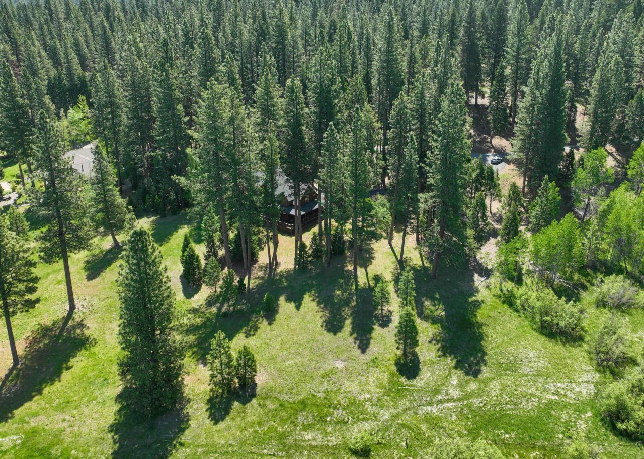 792 Boulder Drive, Clio, CA 96106 Photo