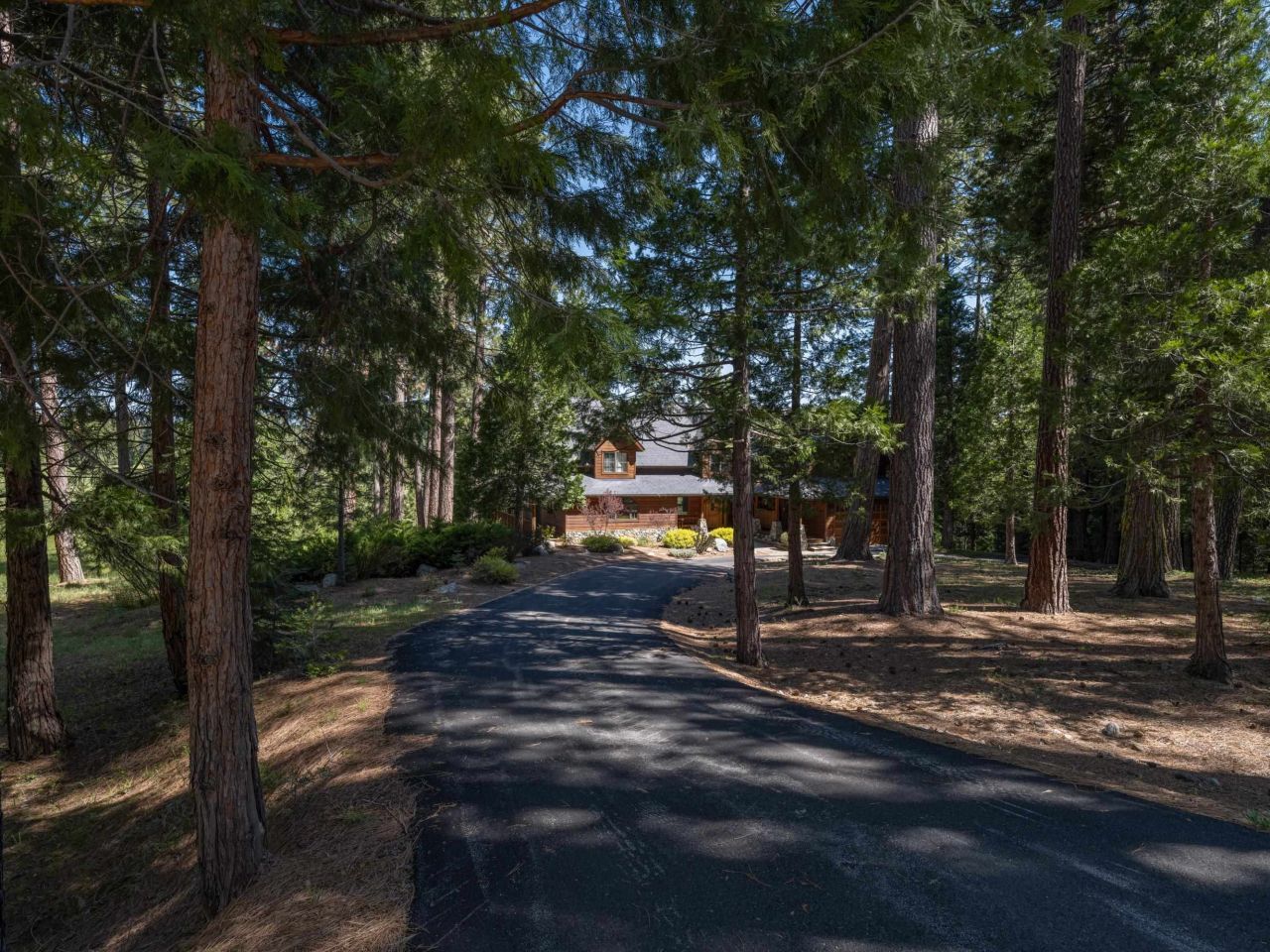 792 Boulder Drive, Clio, CA 96106 Photo