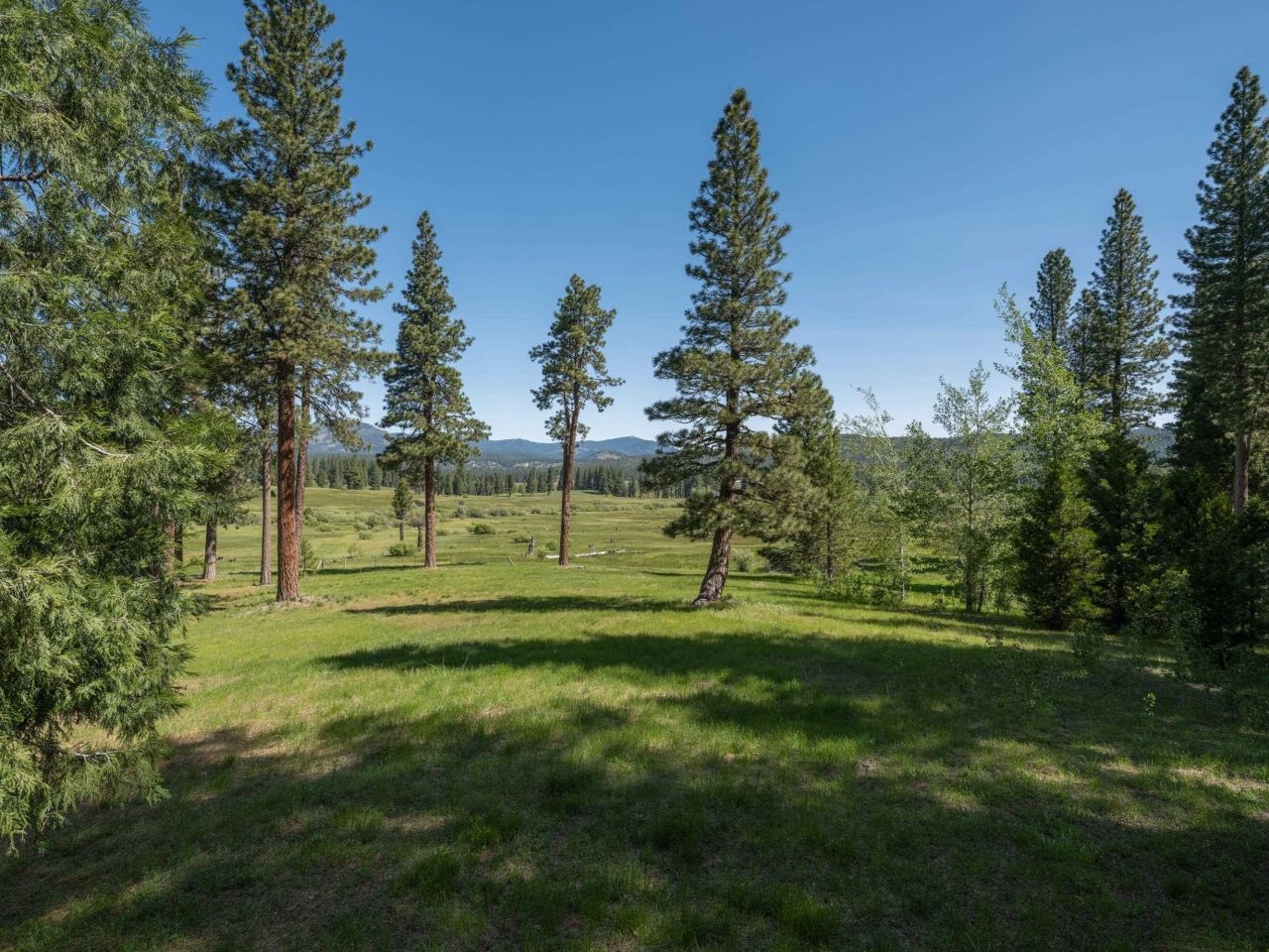 792 Boulder Drive, Clio, CA 96106 Photo