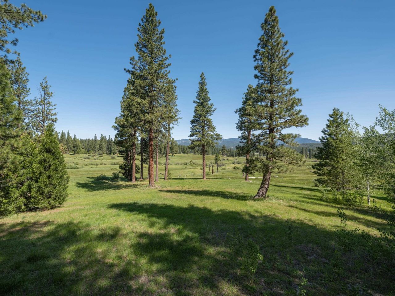 792 Boulder Drive, Clio, CA 96106 Photo