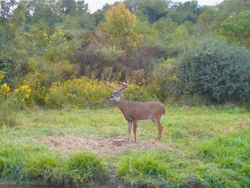 V/L Shephard, Bethesda, OH 43719 Photo 10