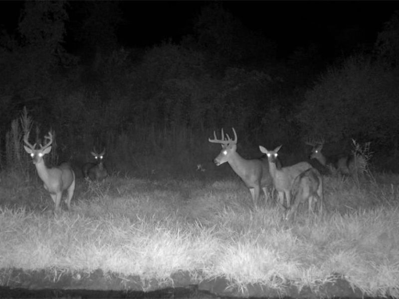 V/L Shephard, Bethesda, OH 43719 Photo 12