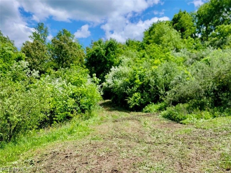 V/L Shephard, Bethesda, OH 43719 Photo 4