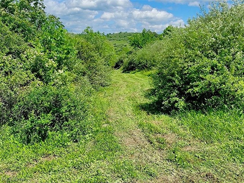 V/L Shephard, Bethesda, OH 43719 Photo 6