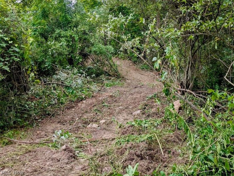 V/L Shephard, Bethesda, OH 43719 Photo 7