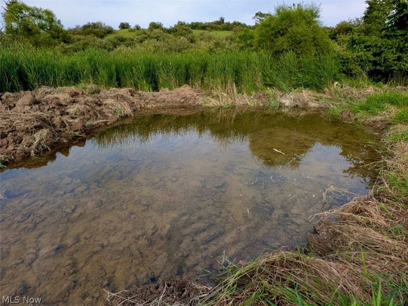 V/L Shephard, Bethesda, OH 43719 Photo 9