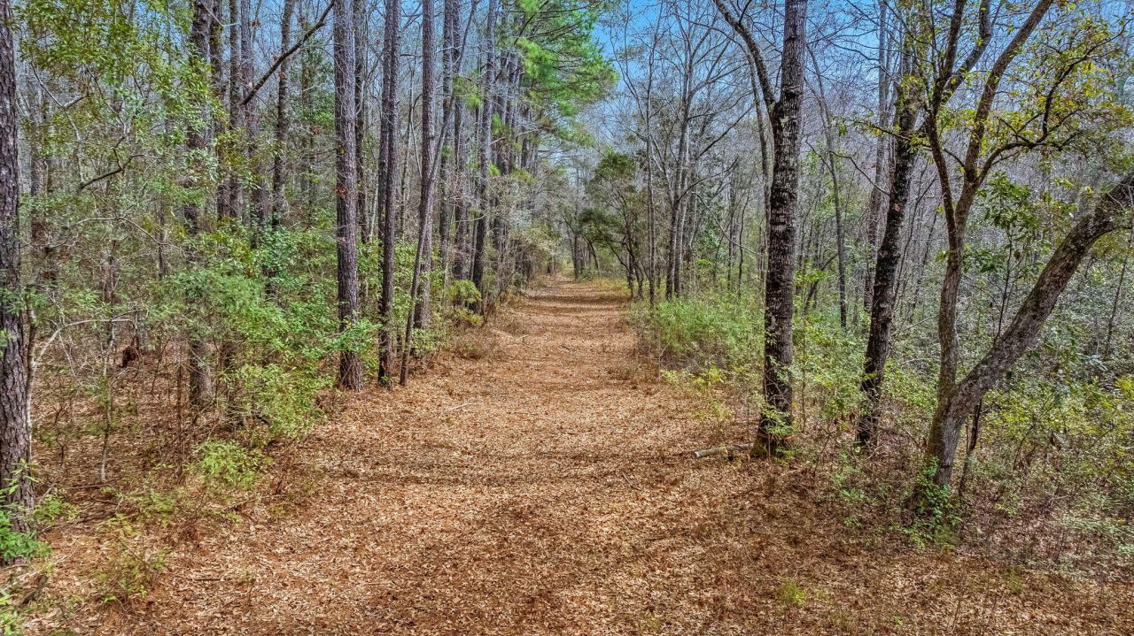 0 Willow Brook Way Photo 10