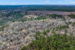 0 Willow Brook Way photo 4