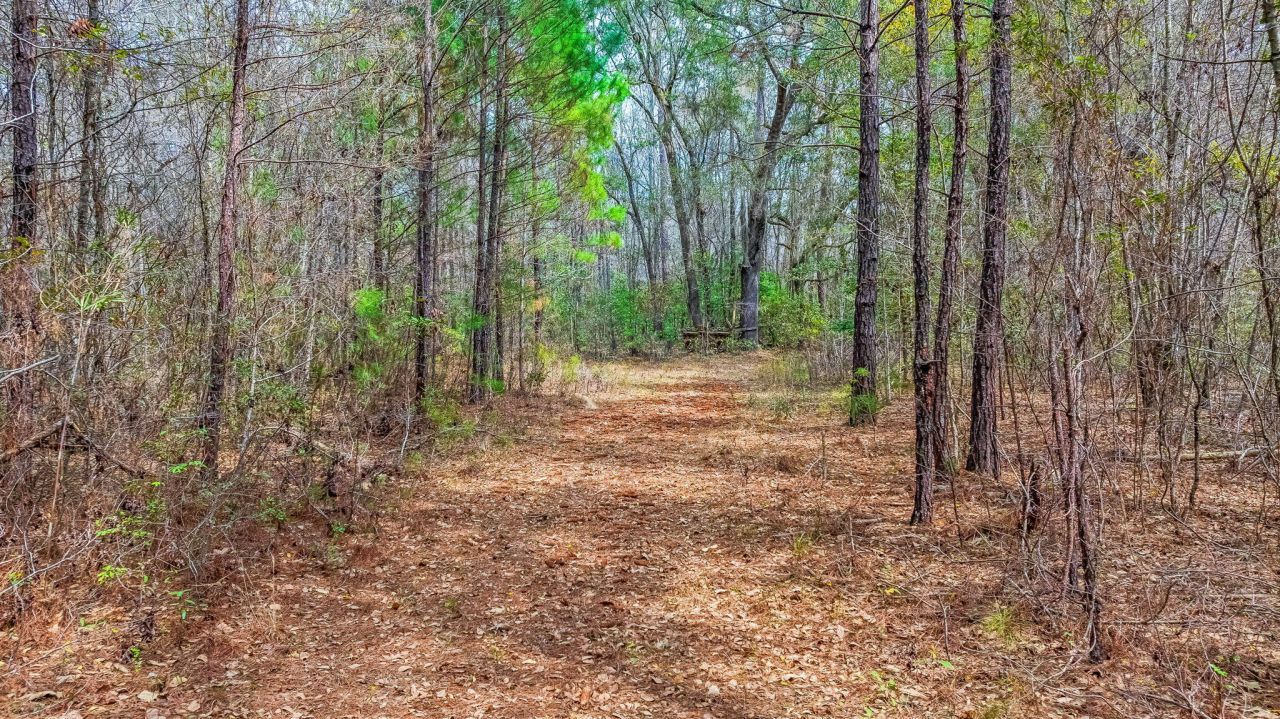 0 Willow Brook Way Photo 7