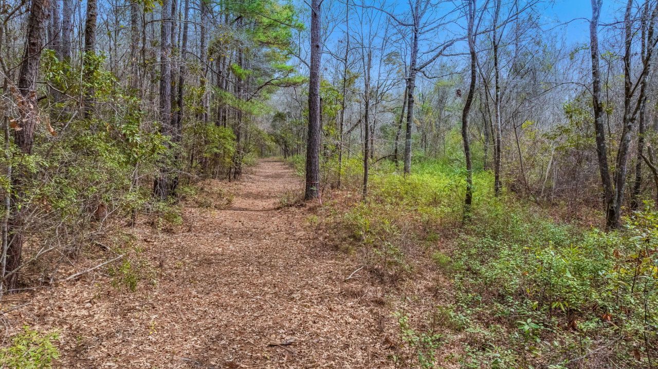 0 Willow Brook Way Photo 8