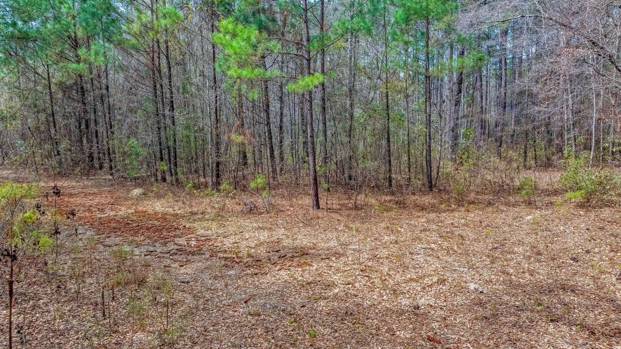 0 Willow Brook Way Photo 9